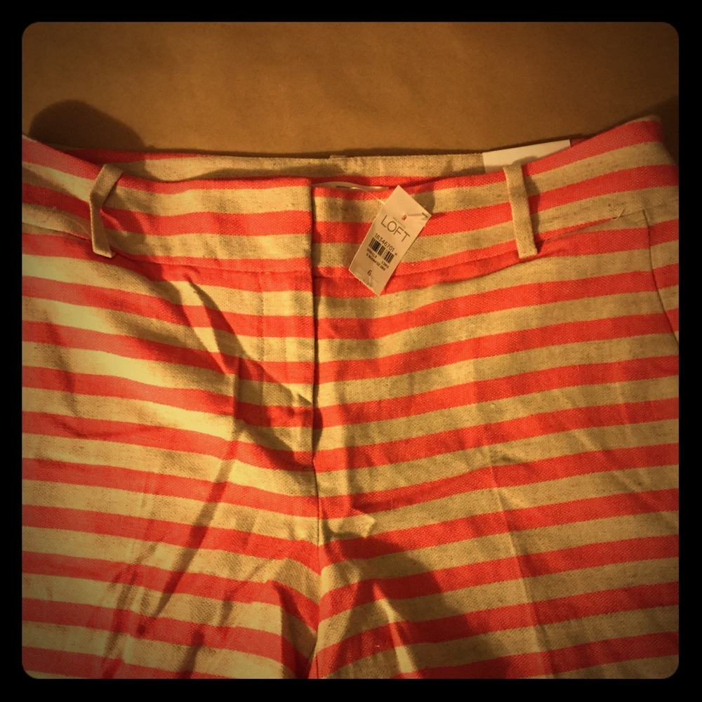 Loft Shorts